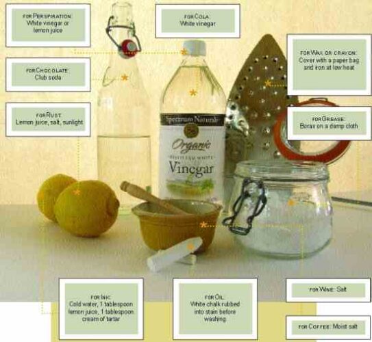 Stop Soiling the Earth: Nontoxic Stain Removers